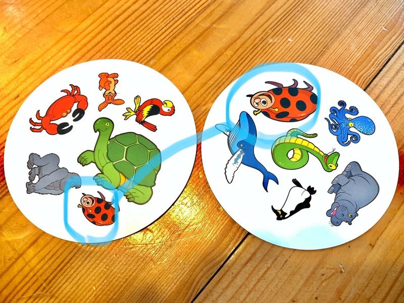 Dobble ドブル 図形認識能力が鍛えられる 5歳の子供から遊べるカードゲームが面白い ルールと遊び方のご紹介 佐藤敦俊 白馬村 Monster Cliff Note