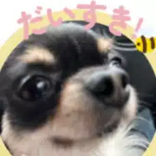 銀次郎パパ｜愛犬と歩む人生のやり直し