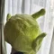 あおみどり
