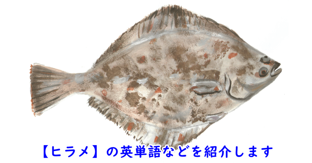 ヒラメ の定番タグ記事一覧 Note つくる つながる とどける