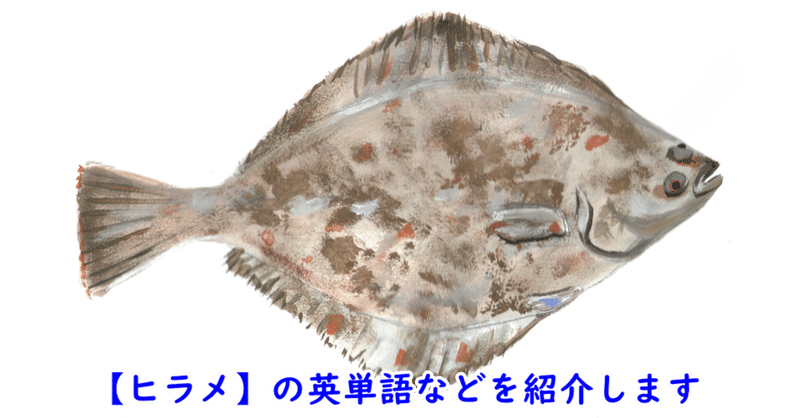 鮃 の新着タグ記事一覧 Note つくる つながる とどける