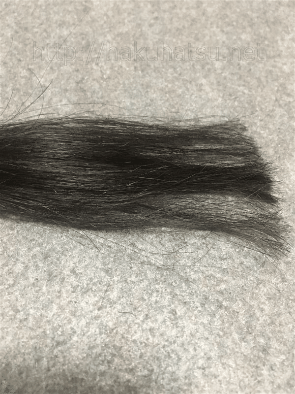 台本保存 セルフカラーノート白髪染め シエロデザイニングカラー 美容師パパ セルフヘアカラーリスト Note