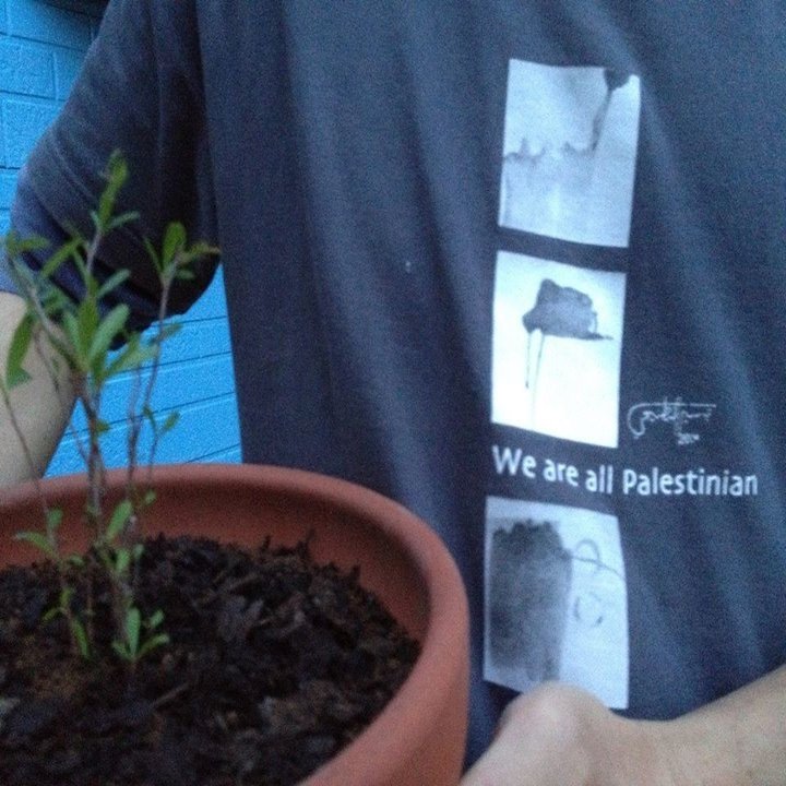 アメリカの歌 ピルグリムの船 メイフラワー 植物のメイフラワー そしてナサニエル ホーソーン 緋文字 を巡る不思議 な展開 山本 剛 Note