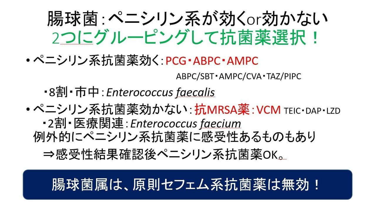 抗菌薬選択を限定するための細菌グルーピング各論その①～グラム陽性球菌編｜公立昭和病院 感染症科・感染管理部ノート｜note