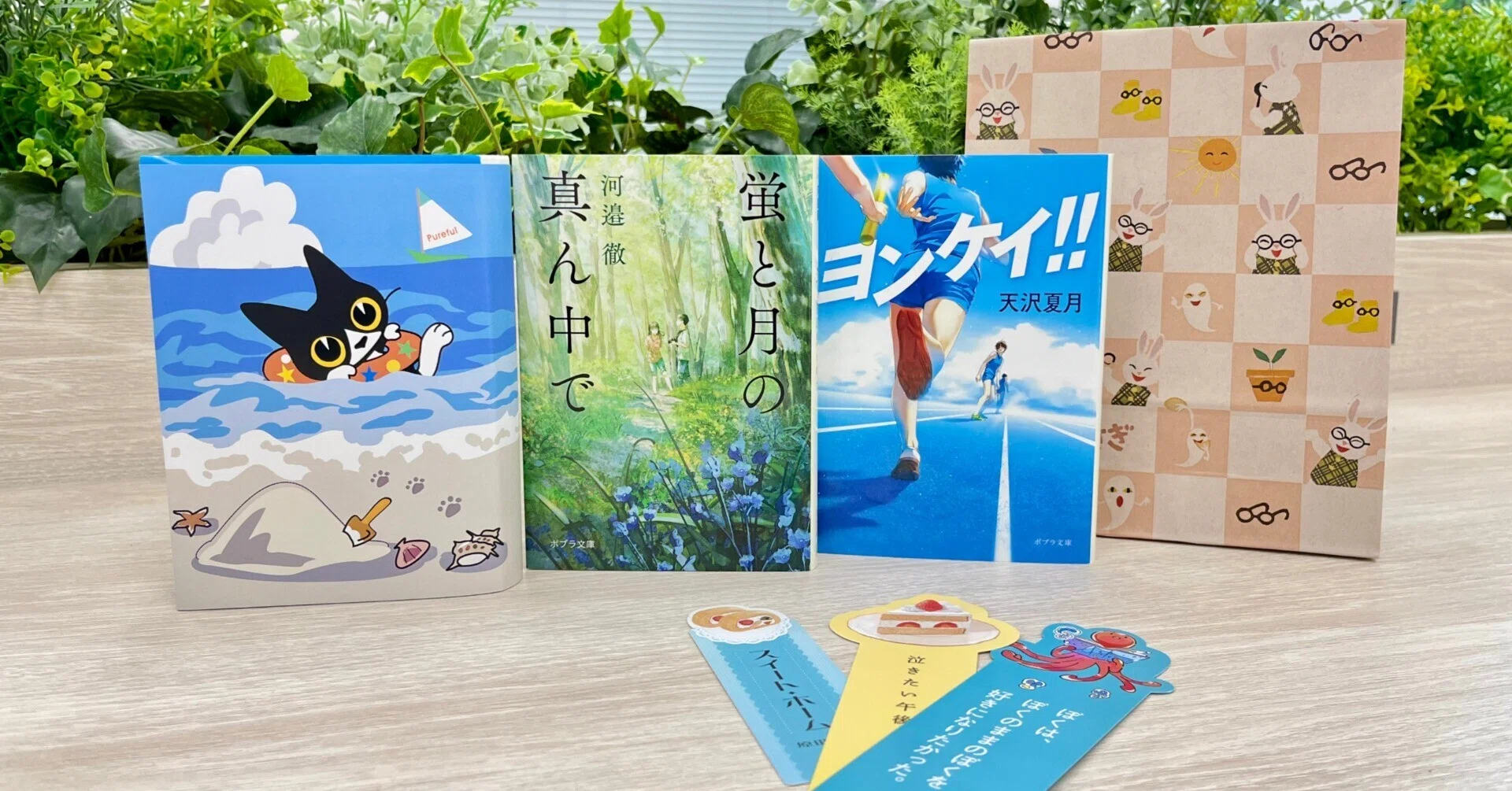 夏こそ読書！ 編集部厳選の「夏の読書セット」つくっちゃいました