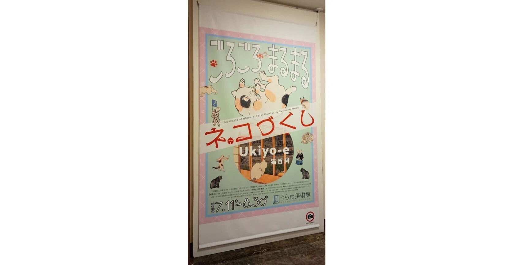 癒しの猫　座敷童子そのもの Ukiyo-e猫百科＠うらわ美術館｜百日草/座敷童子