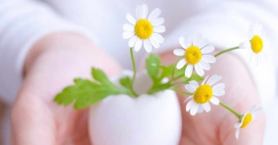 漫画家になりたい 息子が叶えてくれた私の夢 Irone Note