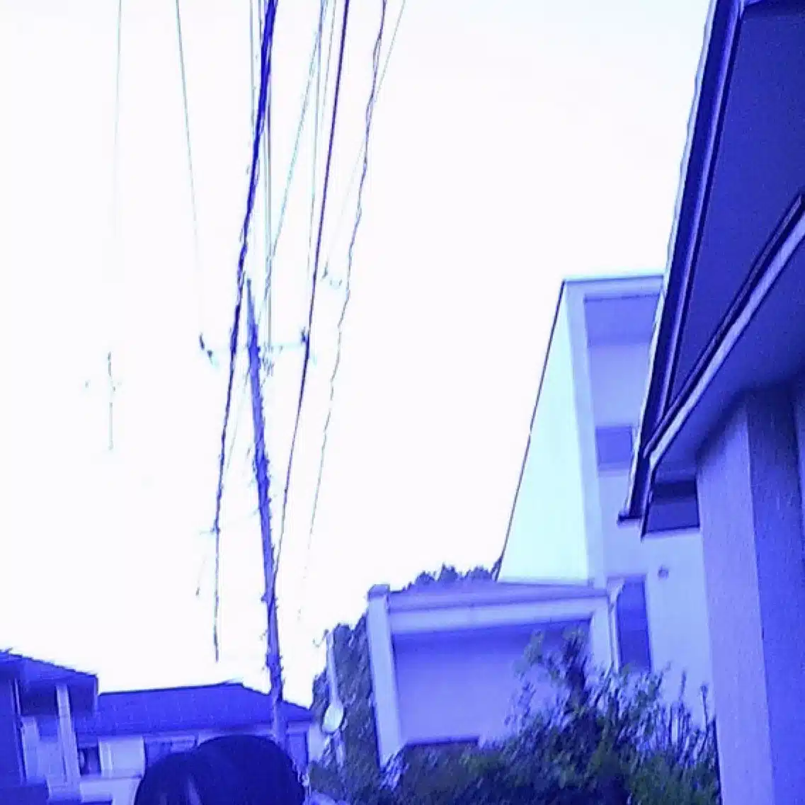 薄荷ハコ