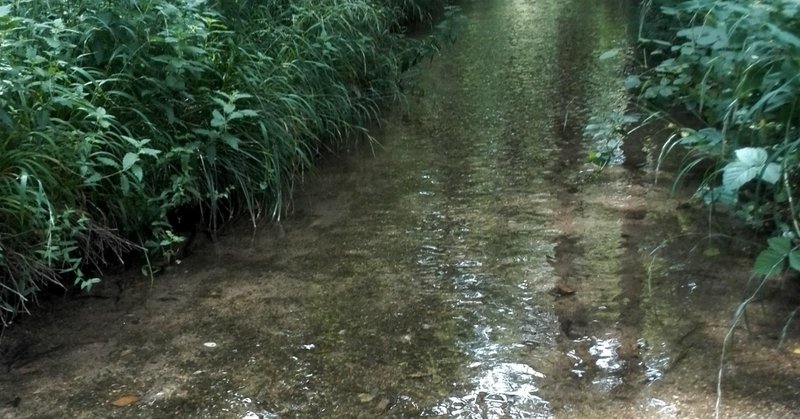 オススメのtedスピーチ 5 Ways To Listen Better くにしー セカンドtoeicパートナー Note