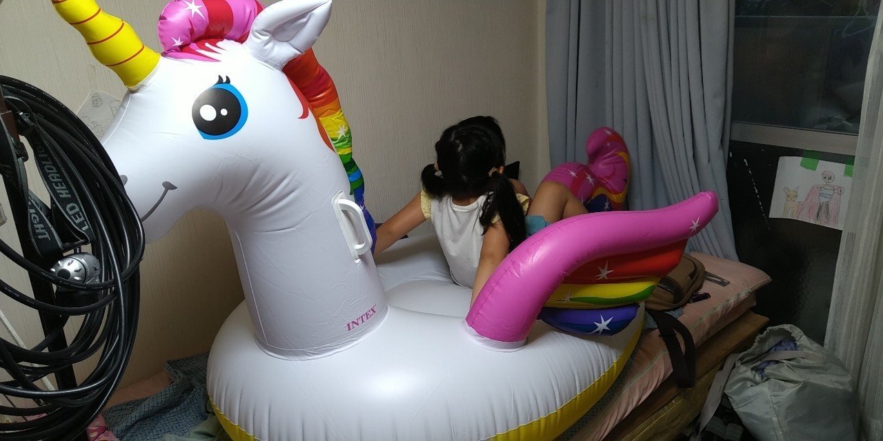 ドンキで買ったユニコーンのマット型の浮き輪が 思ってたよりデカかったww 僕と娘のなりあが日記 Note