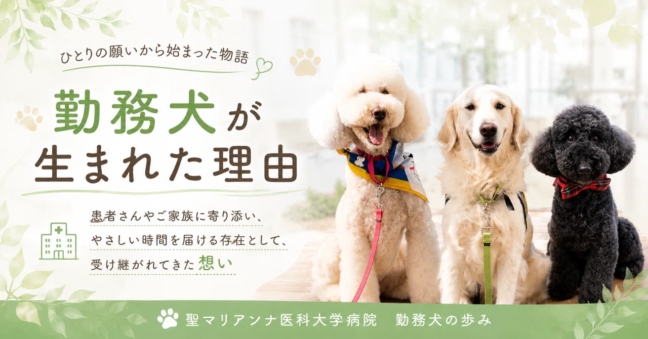 Meet Hospital Facility Dogs: Gentle Animal Companions for Patients