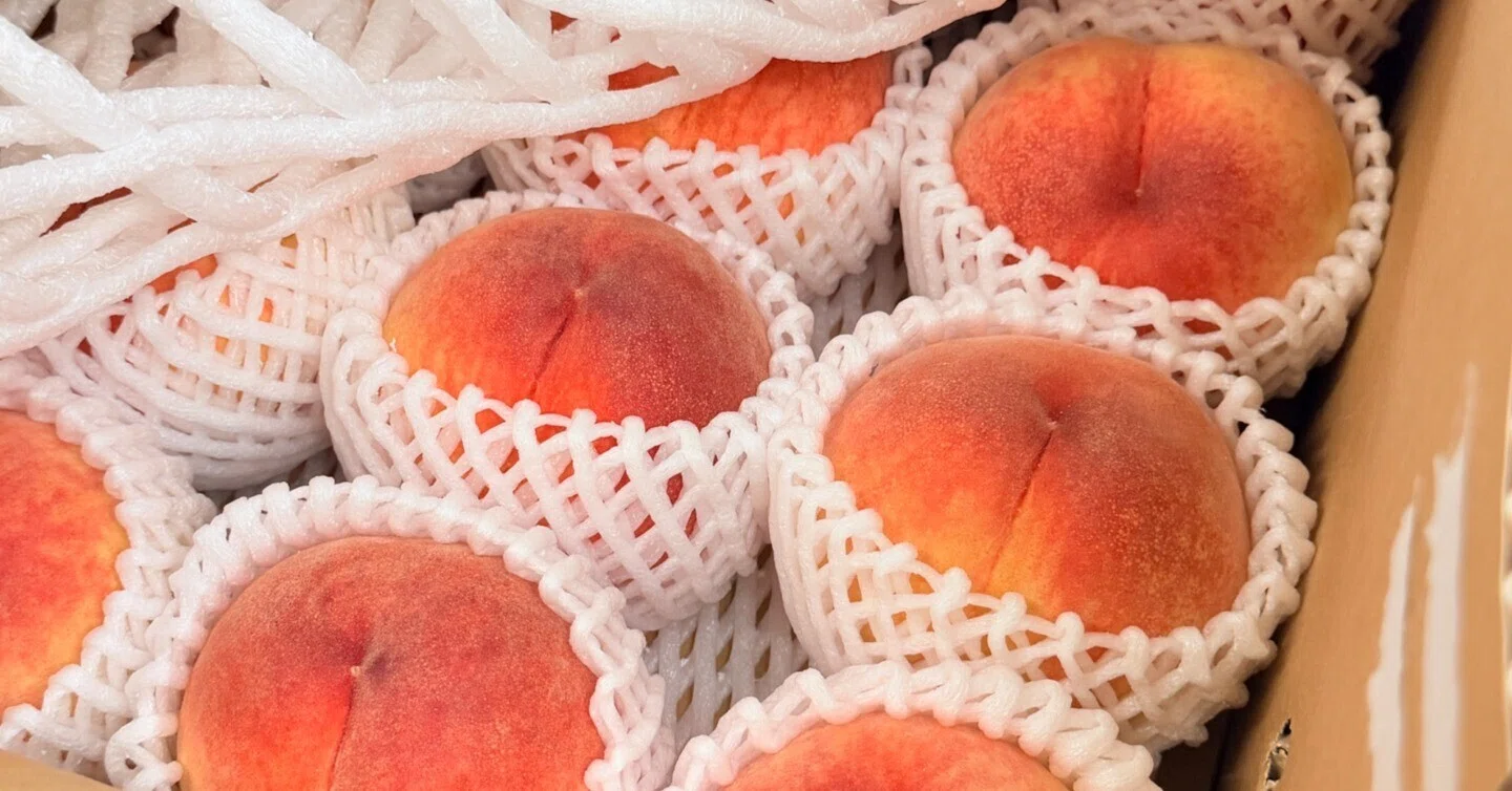 🍑【桃王国・福島】とろける甘さと果汁！ブランド桃「ミスピーチ」の