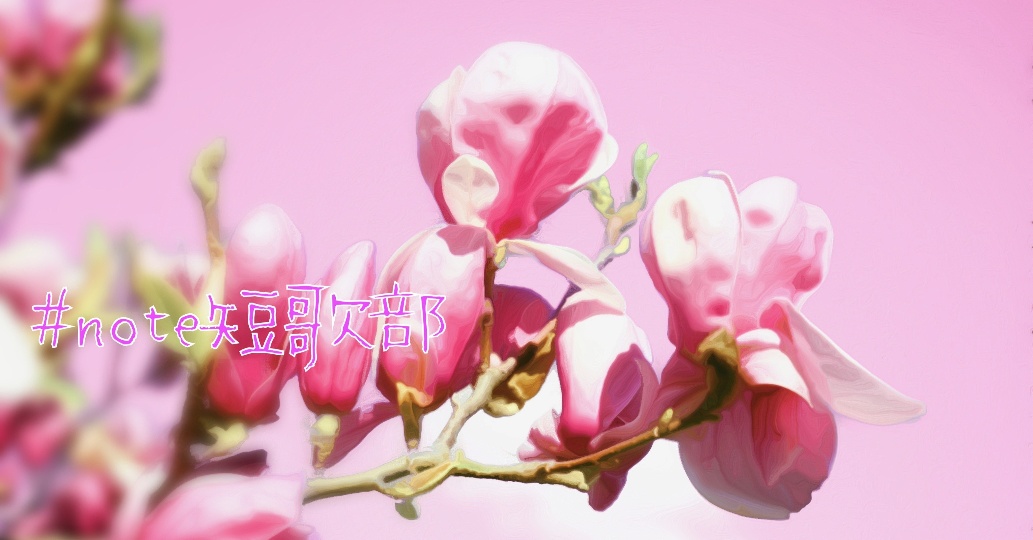 7月4日 誕生花は木蓮 Note短歌部 御子柴 流歌 Note