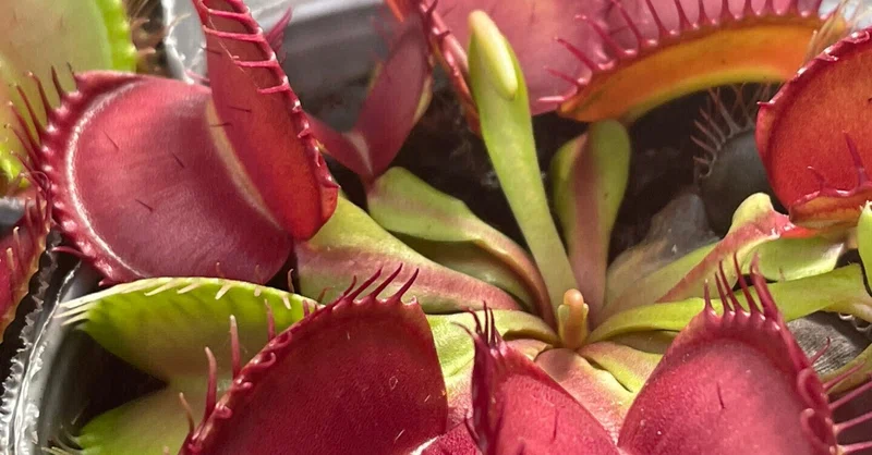 学芸員実習生のおすすめ
