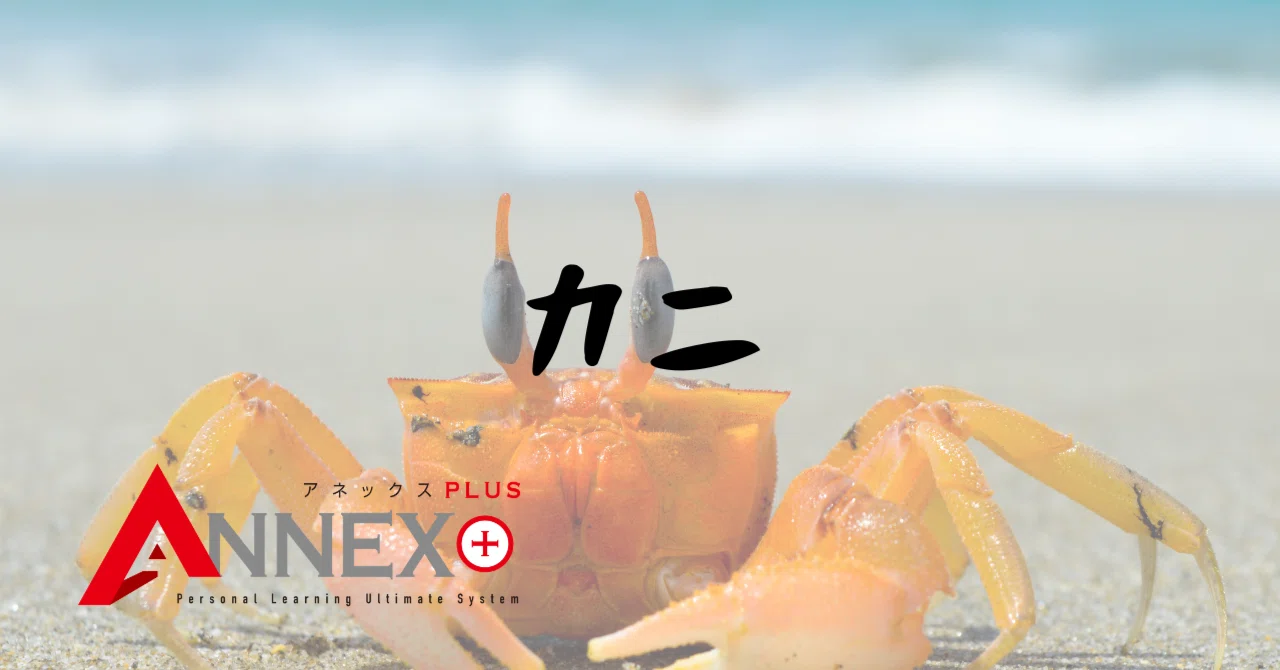 やっぱりカニが1番🦀｜リード進学塾ANNEX公式ブログ