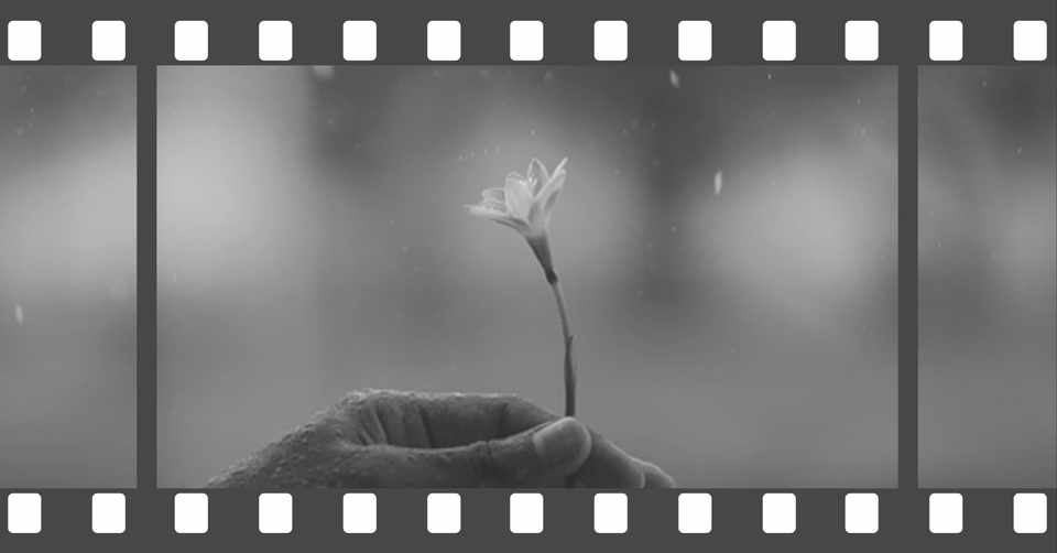水に濡れると透明になる花 柘榴 Note