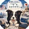 タナシティ