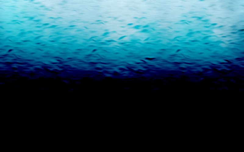 200704｜海いろいろ-海底からのぞき見る