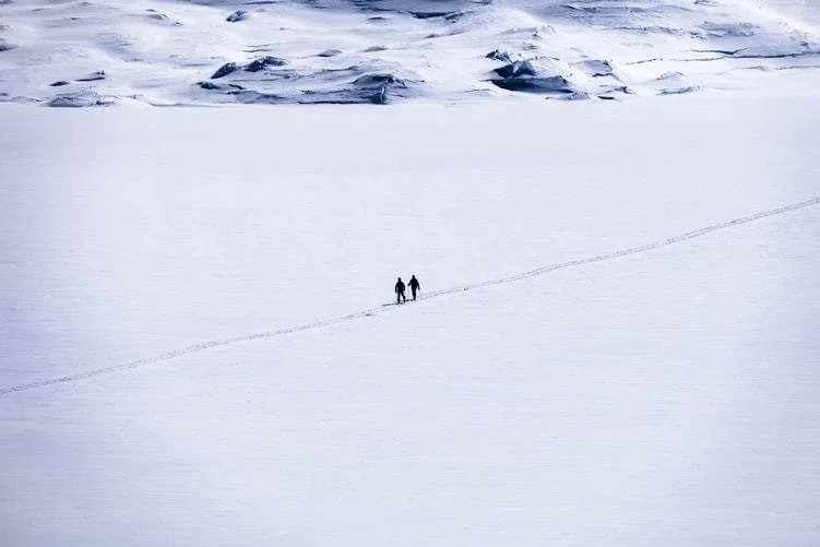 雪原
