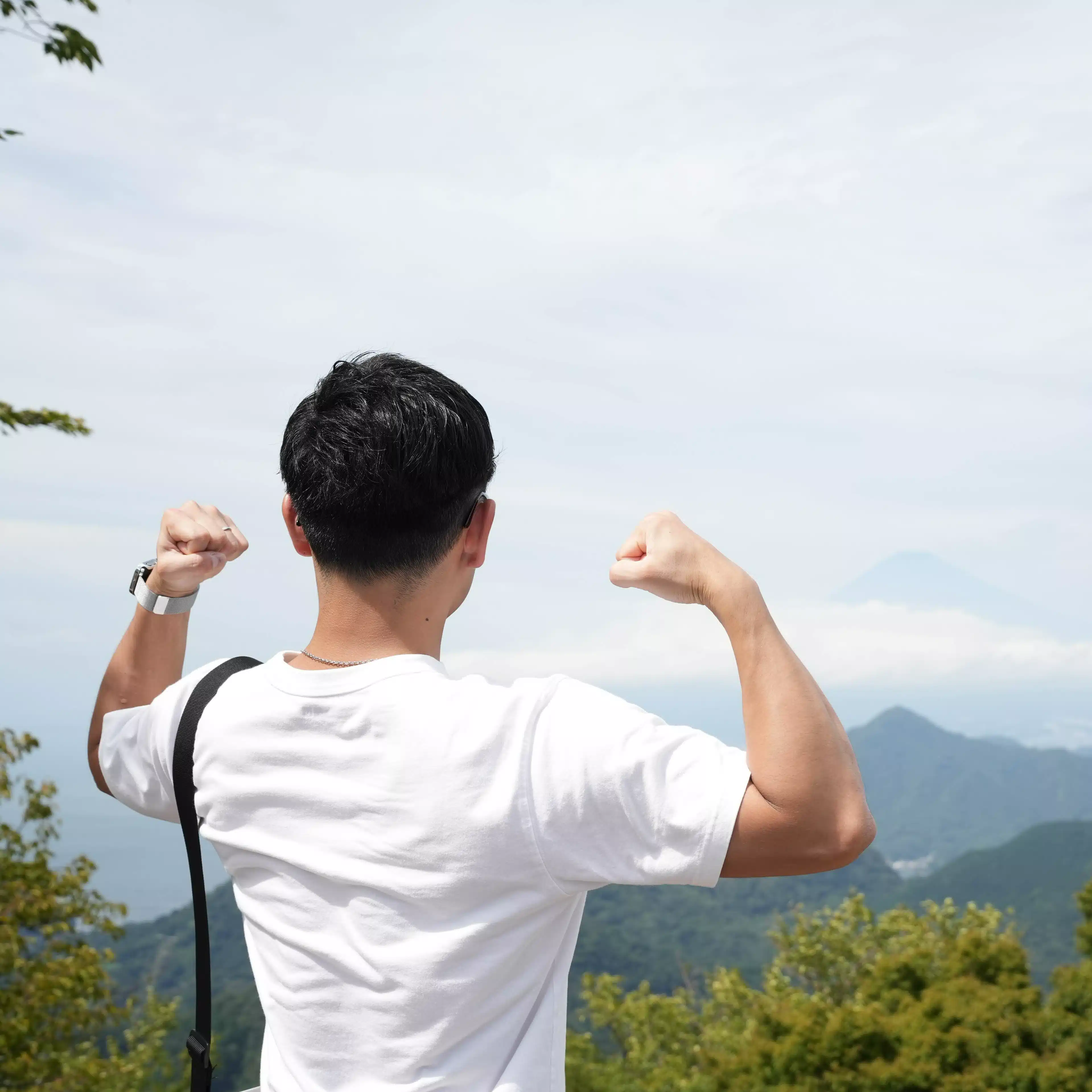 翼