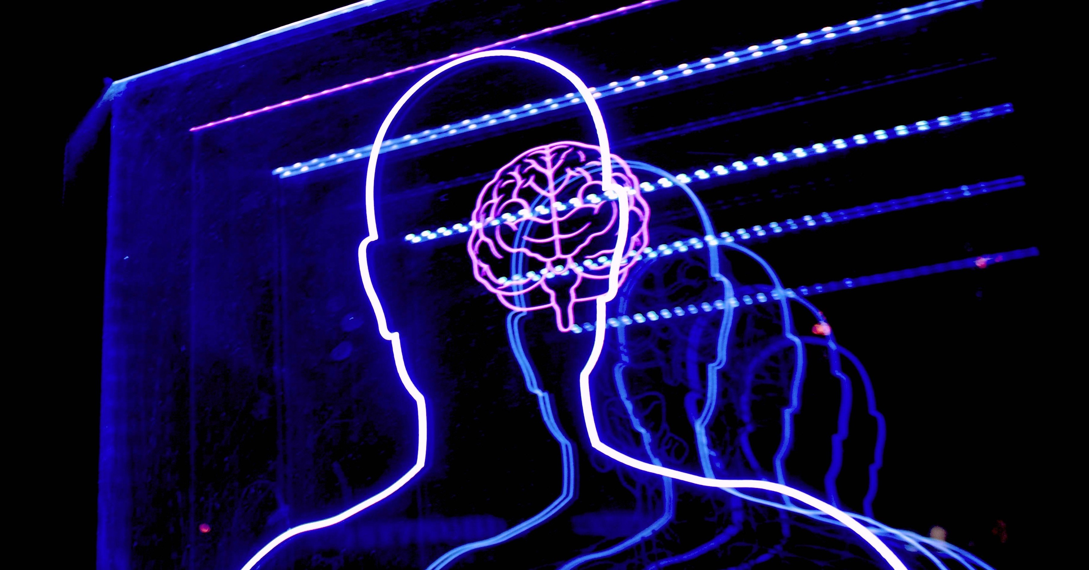 男性脳 女性脳とジェンダーの関係 Sayu Note