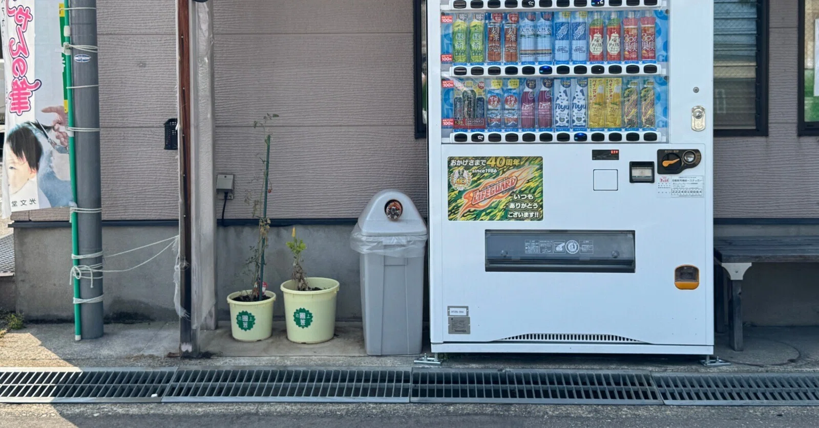みんなの手で育っている展示｜村田あやこ