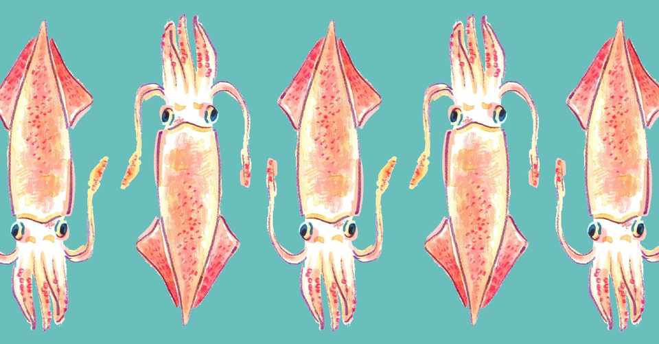 夕方になった 犬が吠えた いびきがうるさい をイカします 100日間連続投稿マラソン 小川牧乃 Note