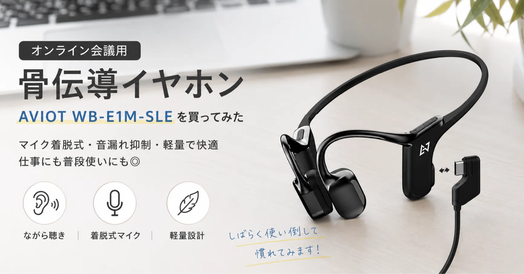 AVIOT WB-E1M-SLE 骨伝導イヤホン シルバー ブルートゥースイヤホン 骨