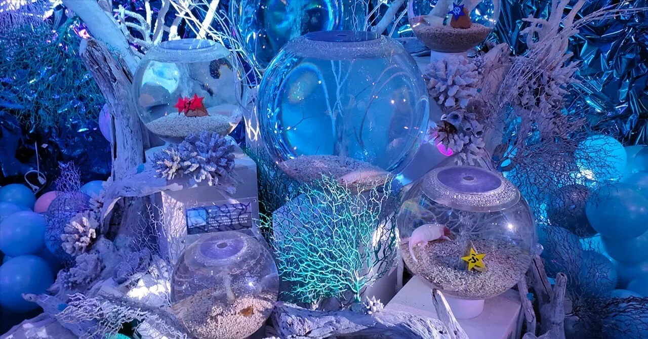 ひらかたパークの水族館「プラネットアクア・ポート」に行ってきた