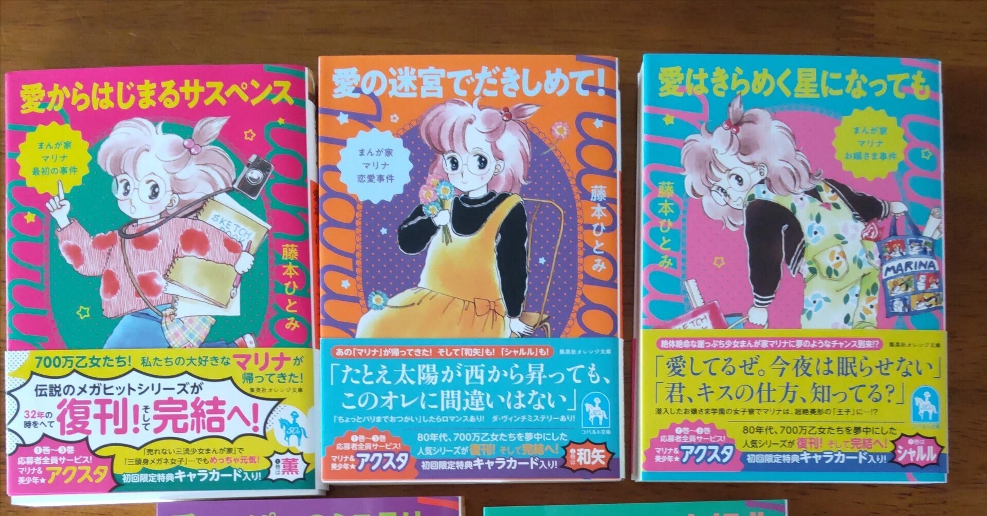 漫画家マリナシリーズ(藤本ひとみ)｜中川希美