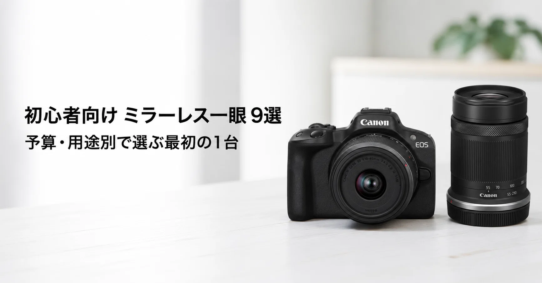 初心者 ミラーレス一眼のおすすめ9選 予算・用途別で選ぶ最初の1台