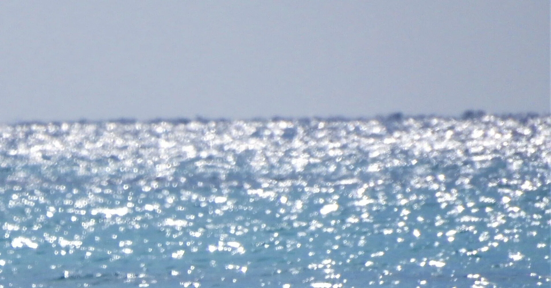 本「空海の道 」永坂嘉光さん写真集（682文字）｜ここのねこ🌙琴の