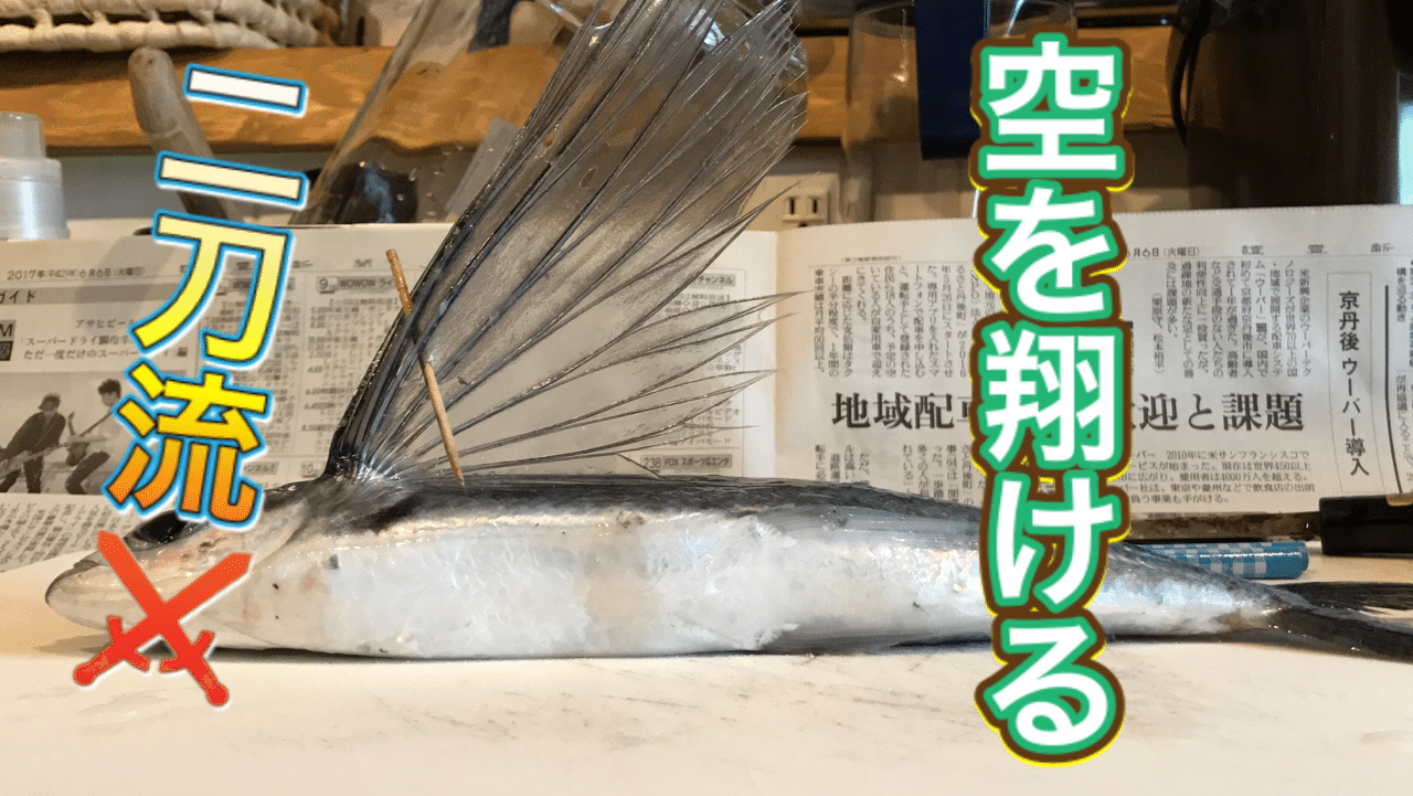 二刀流 トビウオ 釣り 山阿呆の大学生 Note