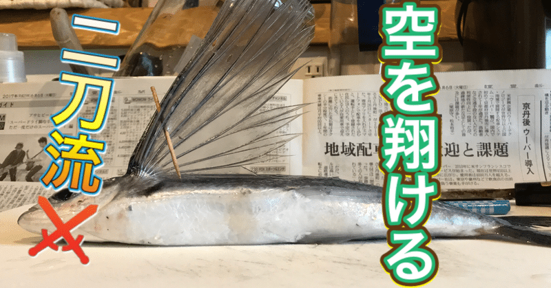 二刀流 トビウオ 釣り 山阿呆の大学生 Note