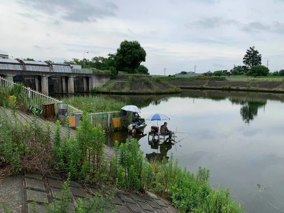 画像8
