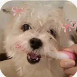 名前もと　