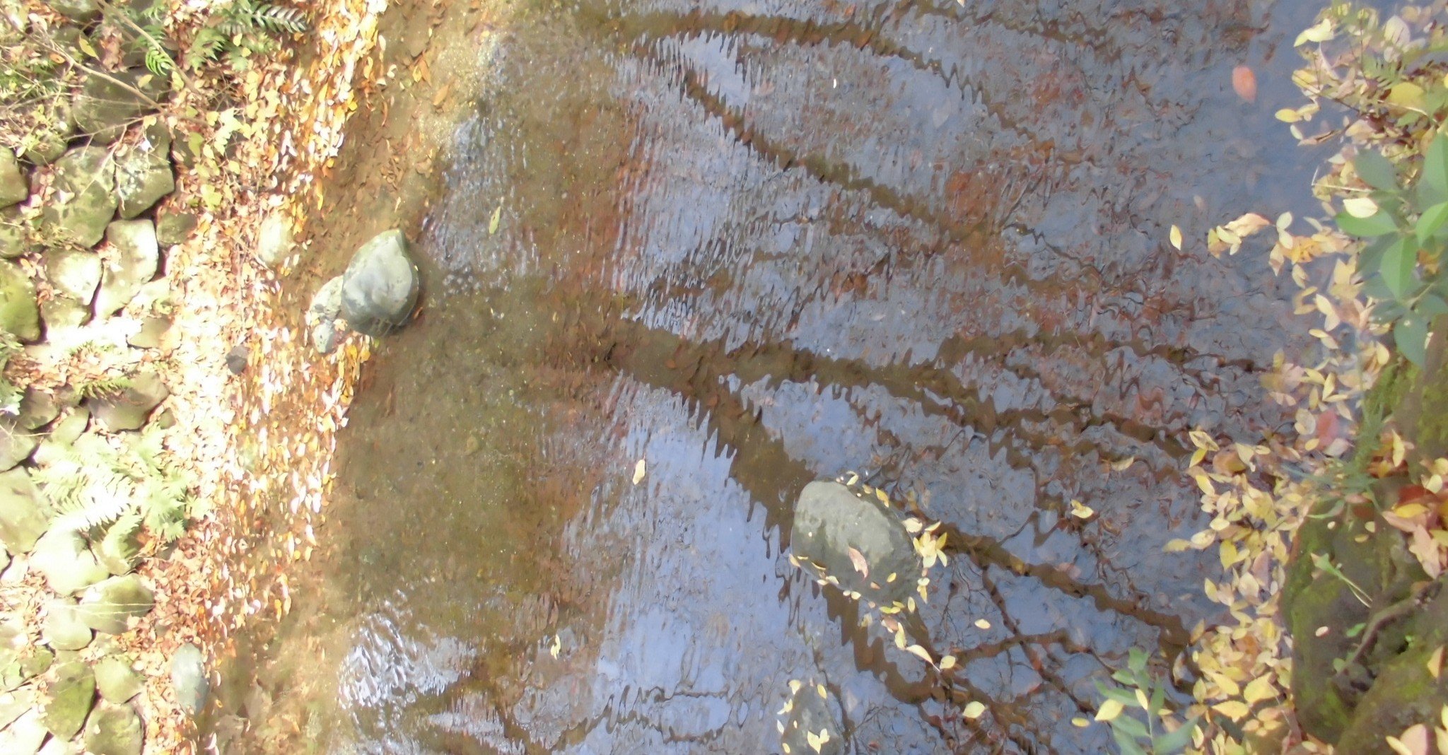 ショートストーリーの茶話会 ５ 白兎の茶話会 Note