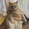 adhd双極性障害40歳男の日記🐈