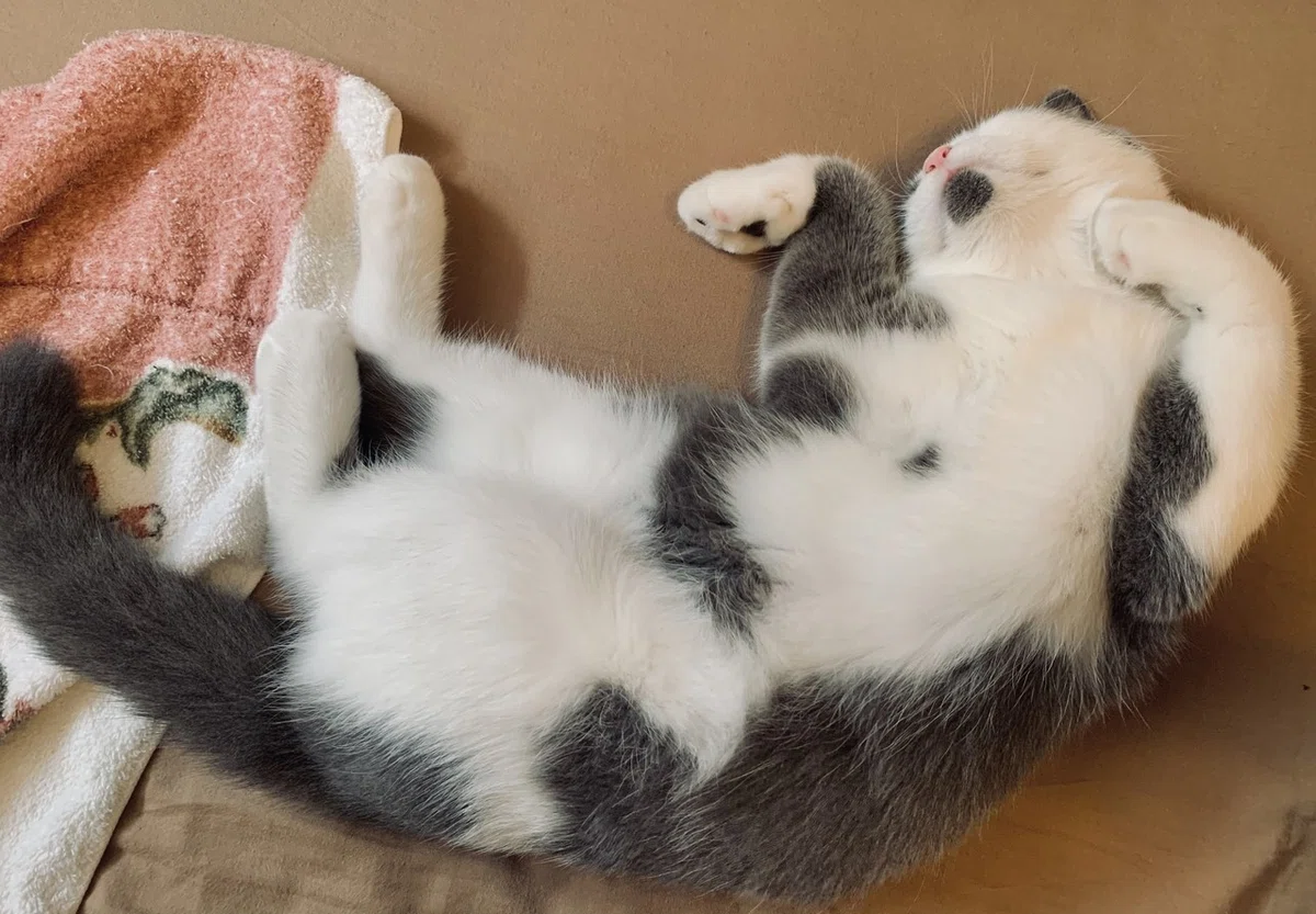 画像1