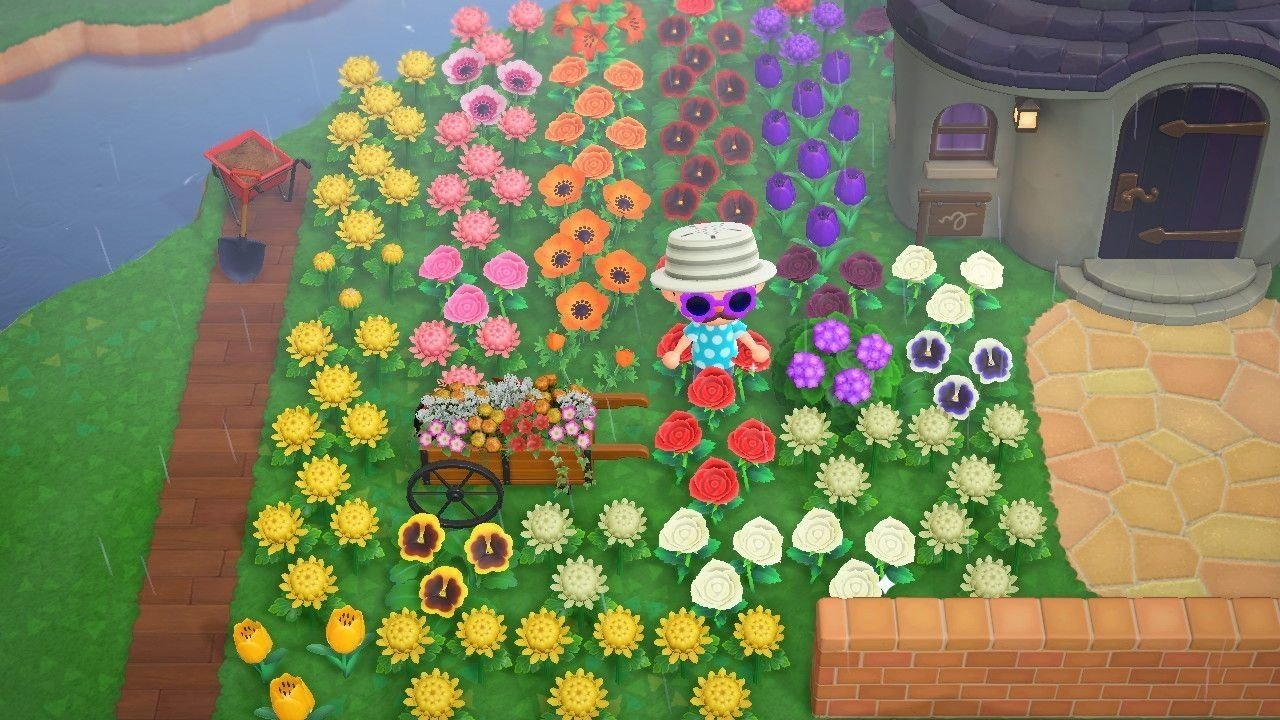 あつ森 6月後半あたり 島民代表編 始祖鳥堂まふ M A F Note