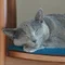 Fumiko.H