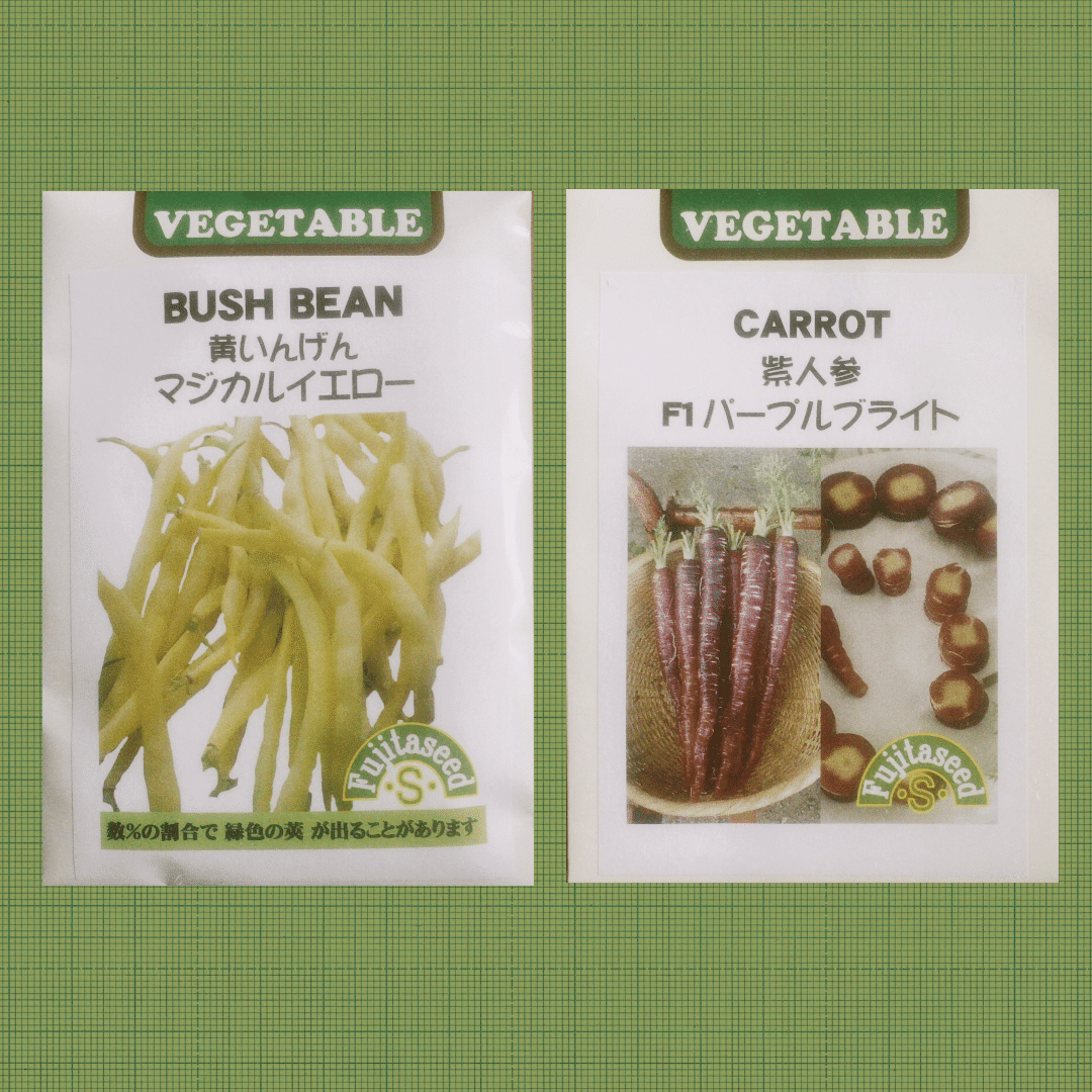 種まき 3日 発芽の成功と失敗 ネコグスとおる Note