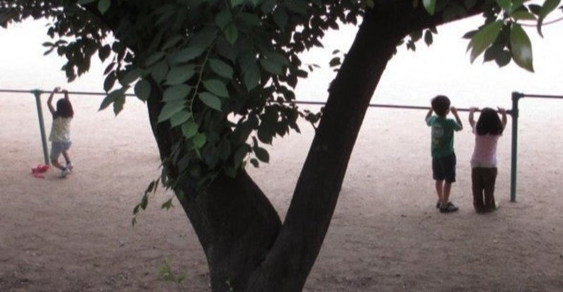 児童養護施設にいる子どもの特徴 ヨウ 児童養護施設出身の大人 Note