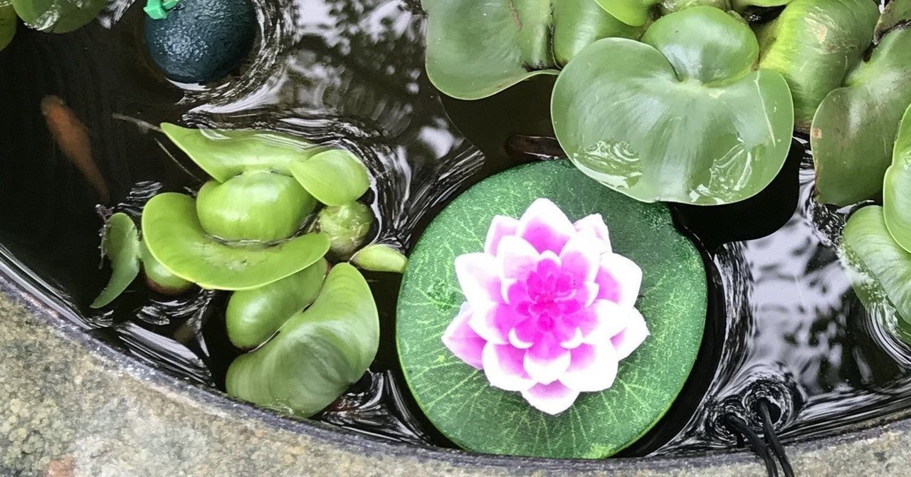 メダカ池 いくら掛かるのか 基本編 Tonio Furuya Note メダカ池 いくら掛かるのか 基本編 Tonio Furuya Note