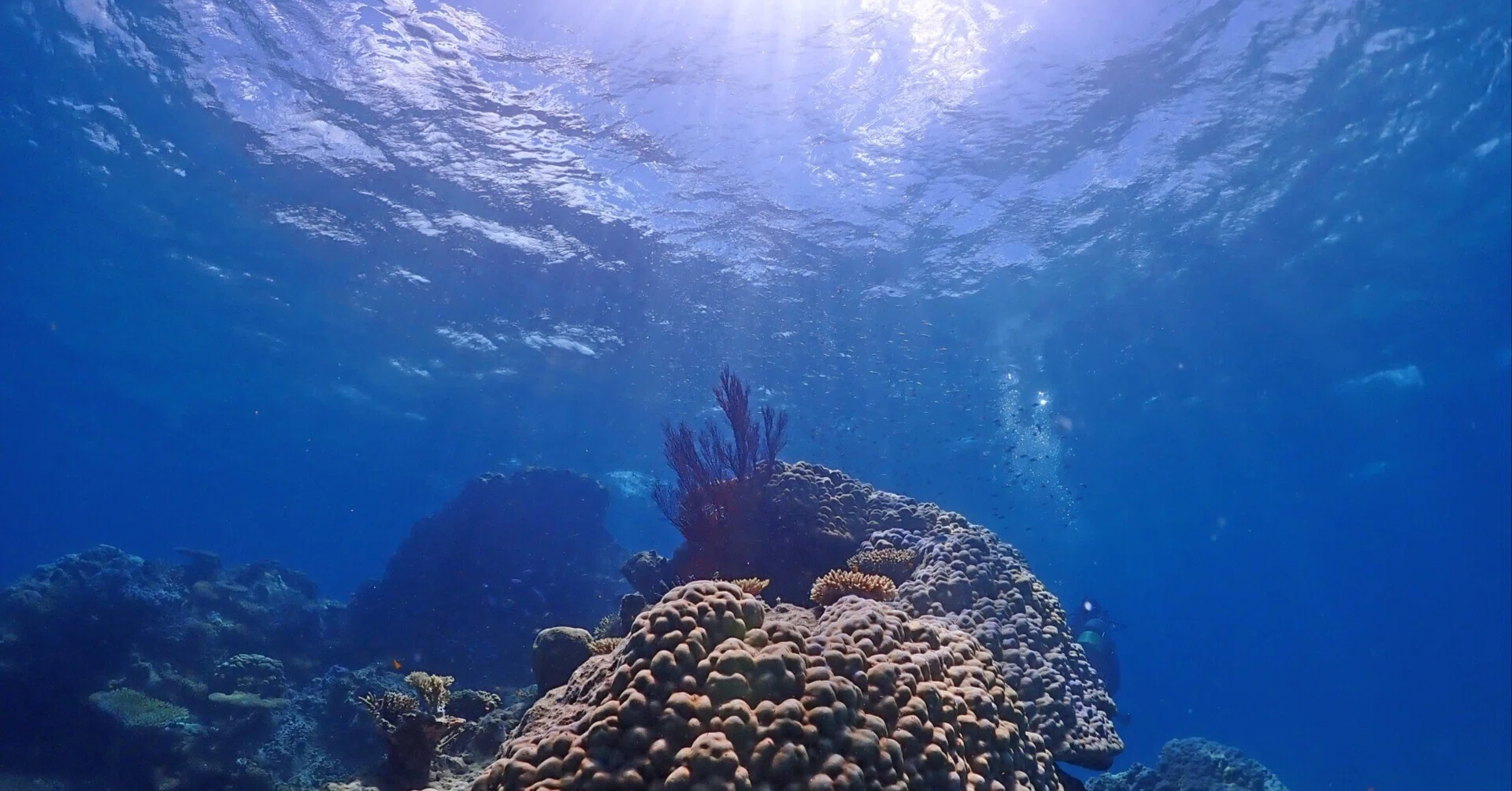 Ocean-Aged Whisky That Stirs the Imagination 《Ocean Aging ④