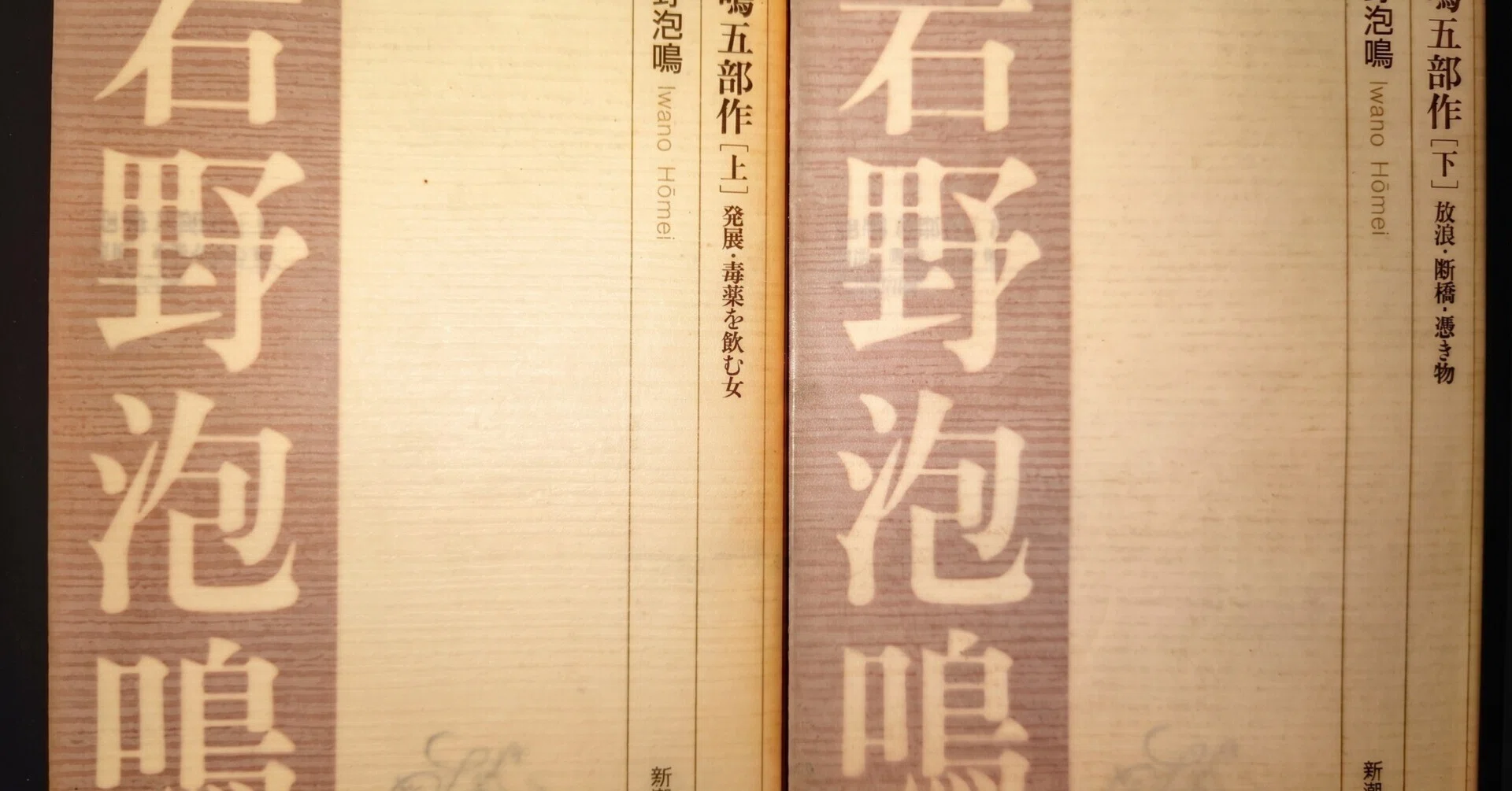 岩野泡鳴「五部作」についてのメモ～序文｜柚木平亮