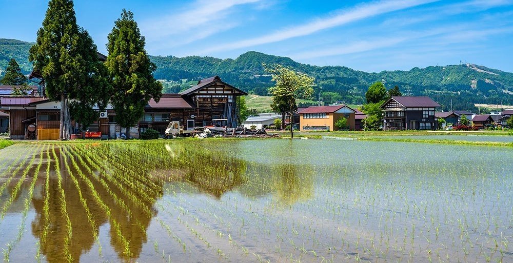 クボタの田んぼ特集（田んぼに水をためる）