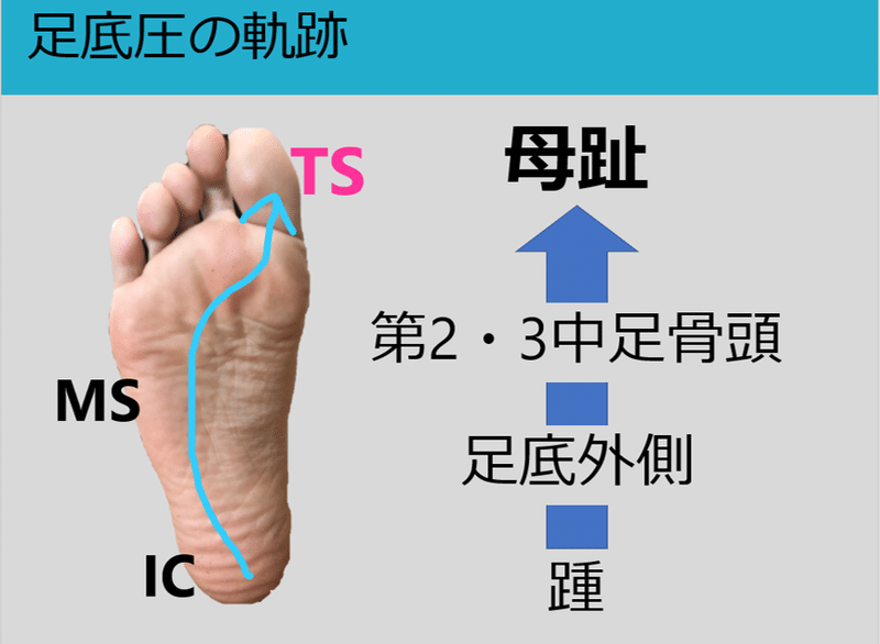 スリッパとオリジナルルームシューズの差を比較検証 歩行と姿勢の分析を活用した治療家のための専門サイト 医療従事者運営