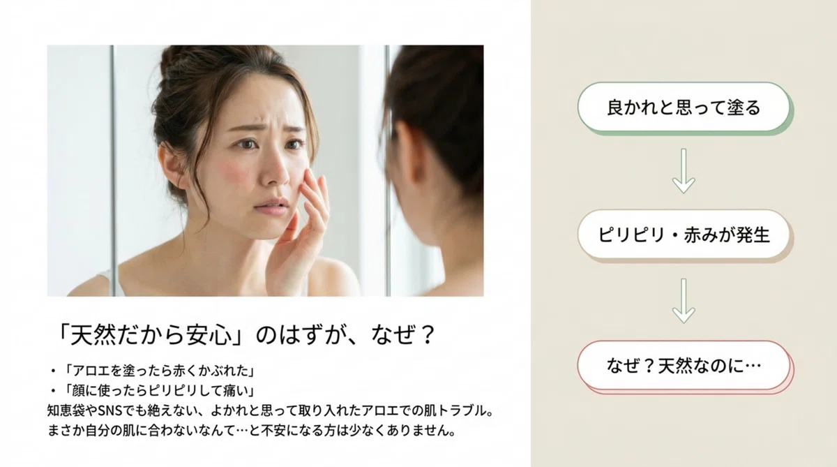 アロエ：「天然=安全」とは限らない理由の図解