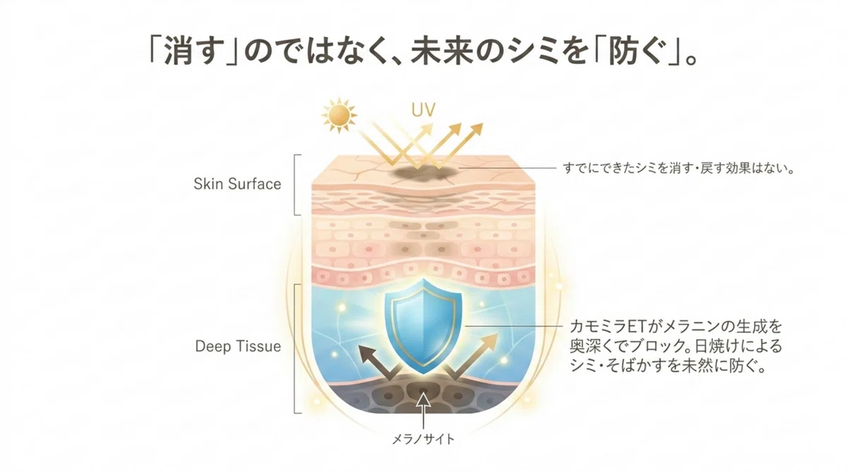 カモミラET:医薬部外品の有効成分としての承認範囲の図解